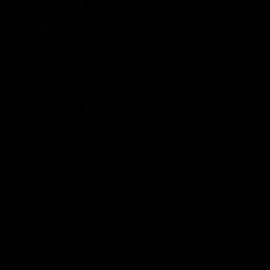 Meet your Posher, Antwasia